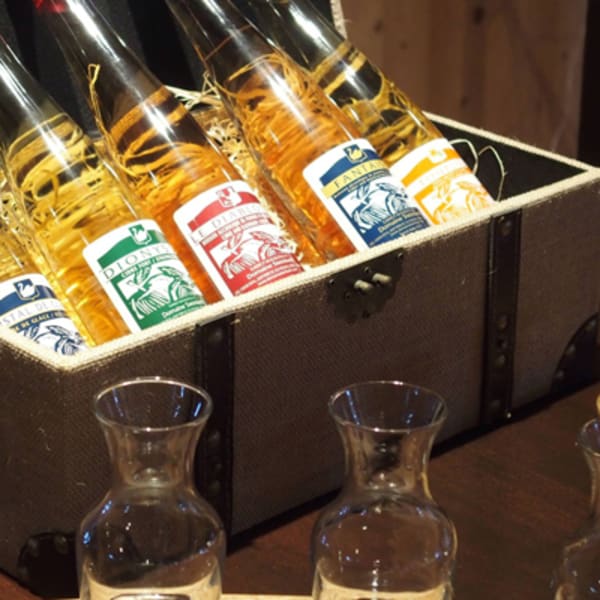 domaine_steinbach___cirdrerie_gite_verger_1