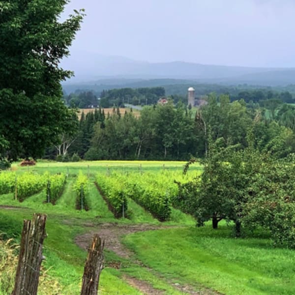 domaine_valbrome_1
