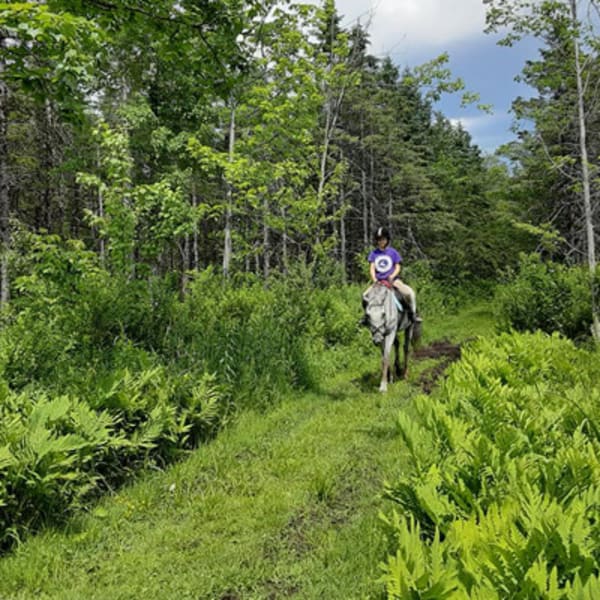 equitation_dawson_1