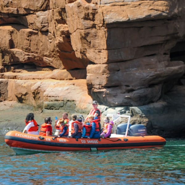 excursions_en_mer_inc_1