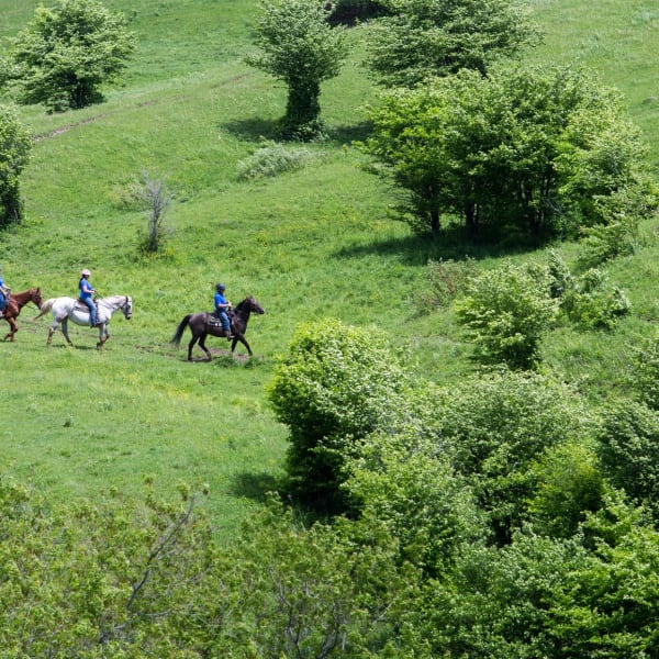 ferme_du_joual_vair_1