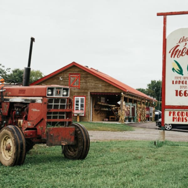 ferme_langlois_et_fils__chez_mede_1