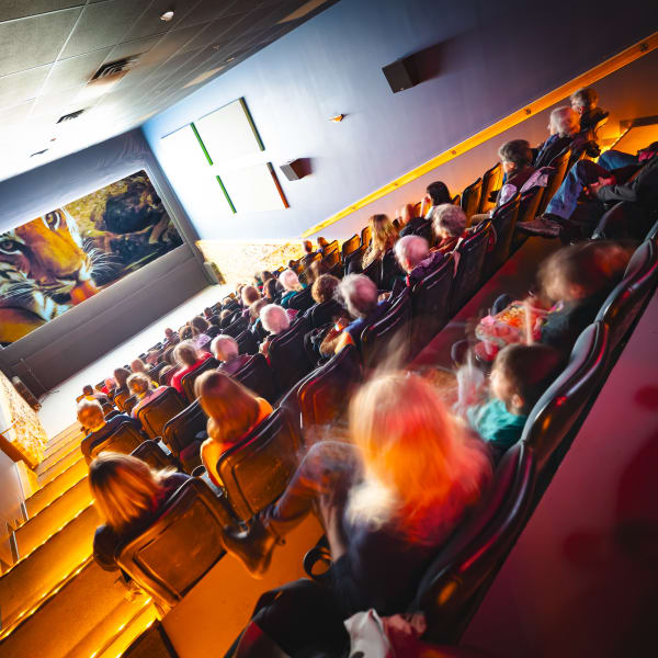 Festival cinéma du monde de Sherbrooke