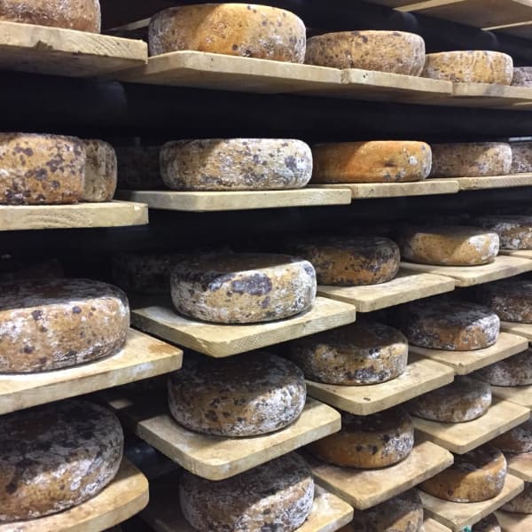 fromagerie_fritz_kaiser_1