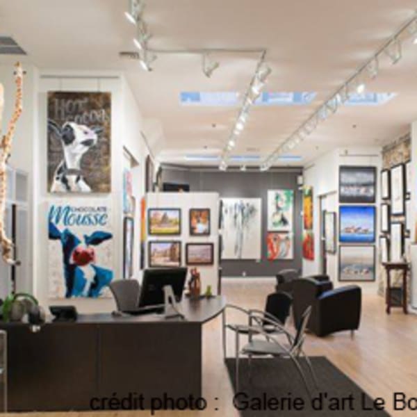 galerie_dart_le_bourget_1