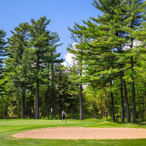 golf_hemmingford_1