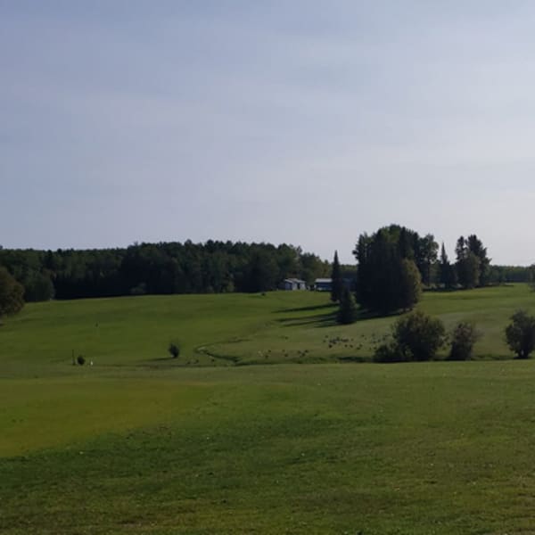 golf_lebel_sur_quevillon_1