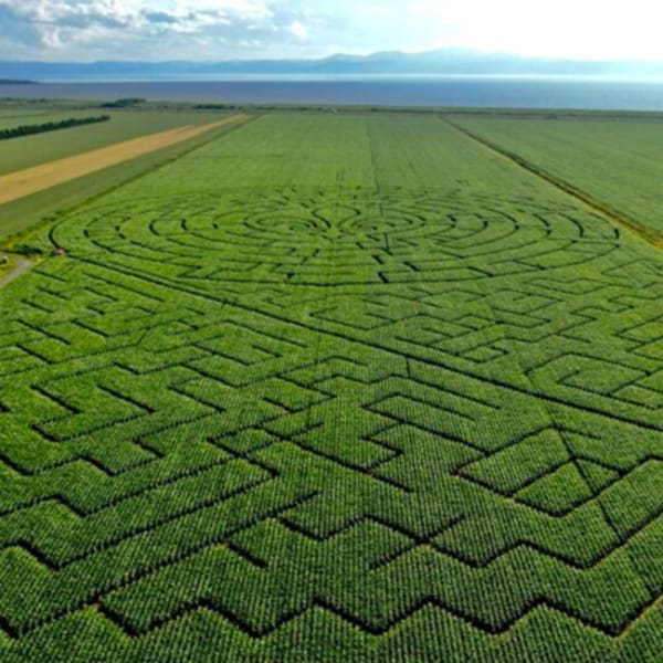 grand_labyrinthe_kamouraska_1