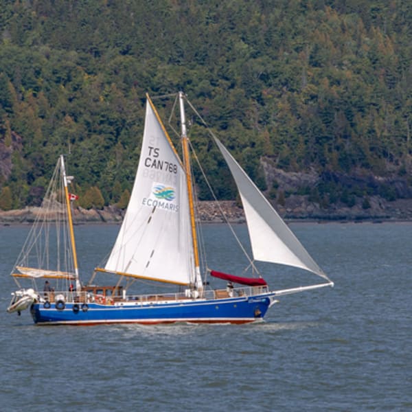 grand_voilier_decomaris_1