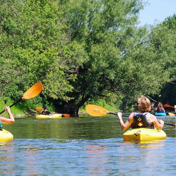 kayak_safari_1