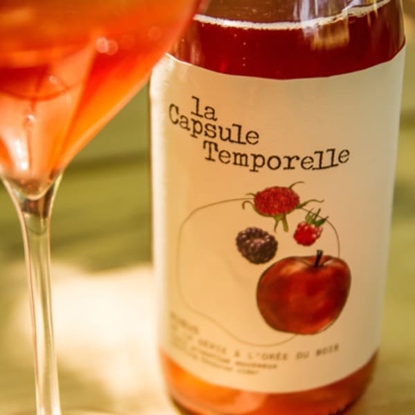 la_capsule_temporelle_1