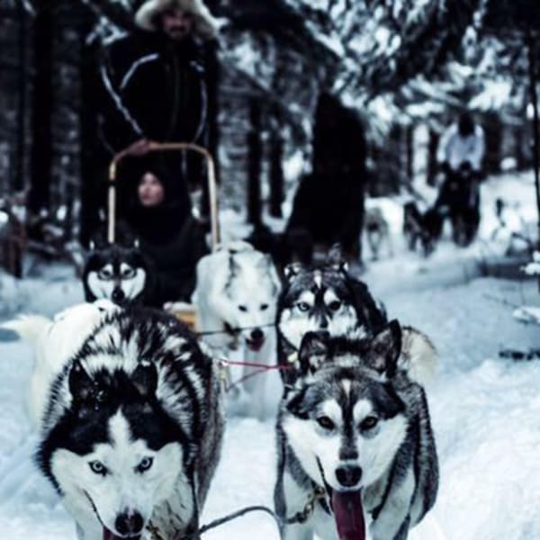 laforce_expedition_1
