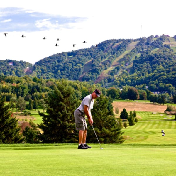 le_golf_dans_brome_missisquoi_1