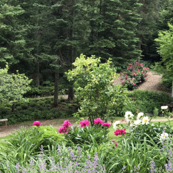 le_jardin_de_francois_1