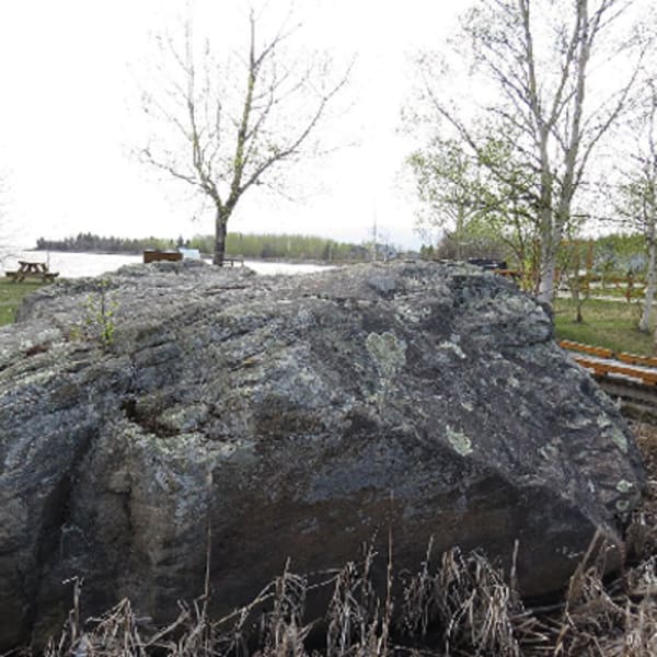 le_parc_de_la_roche_a_caya_1