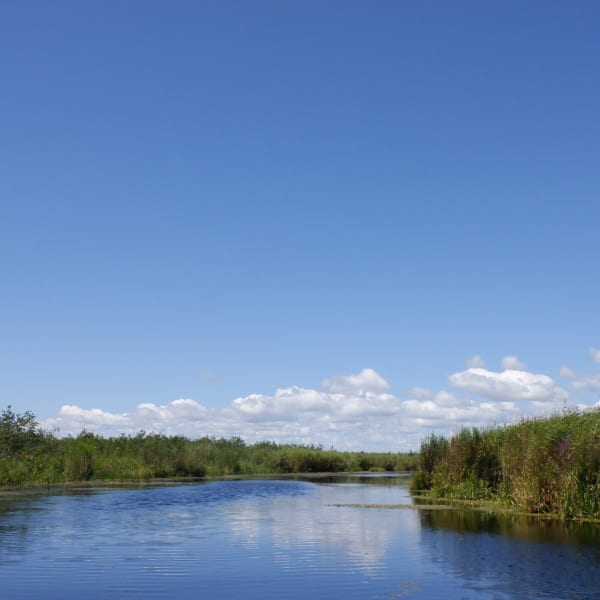 Les Amis de la réserve nationale de la faune du Lac-Saint-François