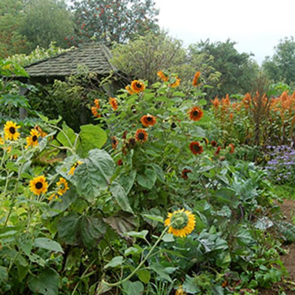 les_jardins_du_grand_portage_1