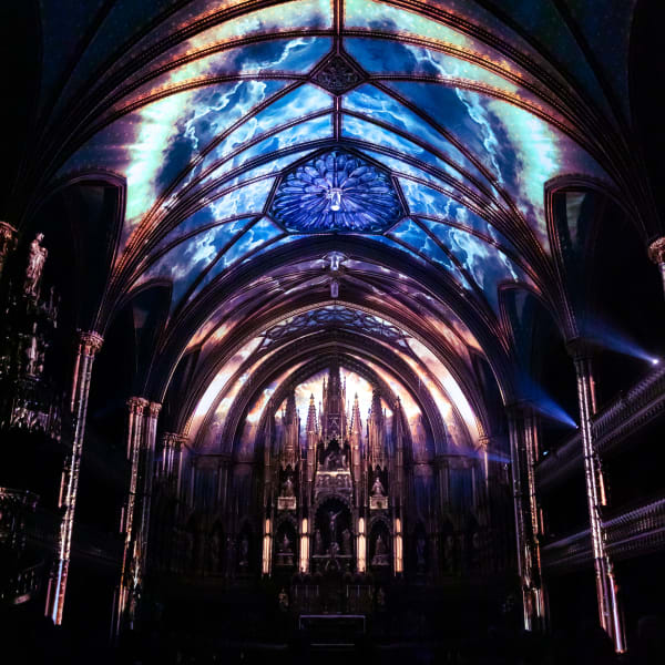 The AURA Experience