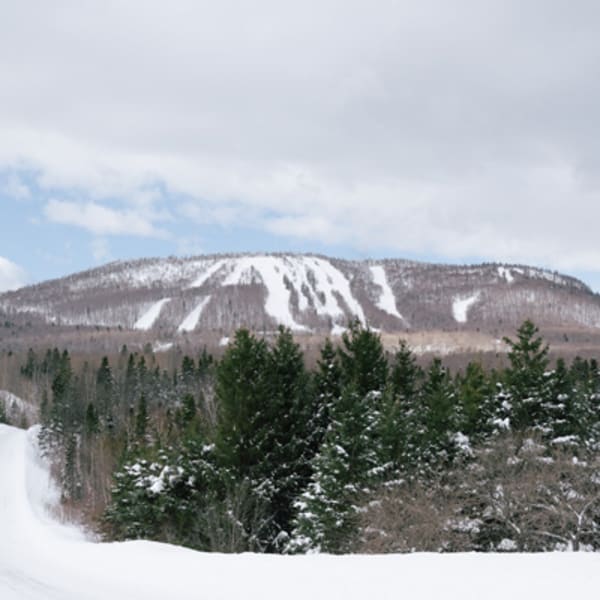 mont_comi_1_h