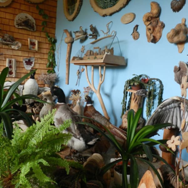 musee_de_la_nature_1