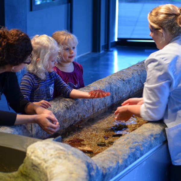 Musée du Fjord