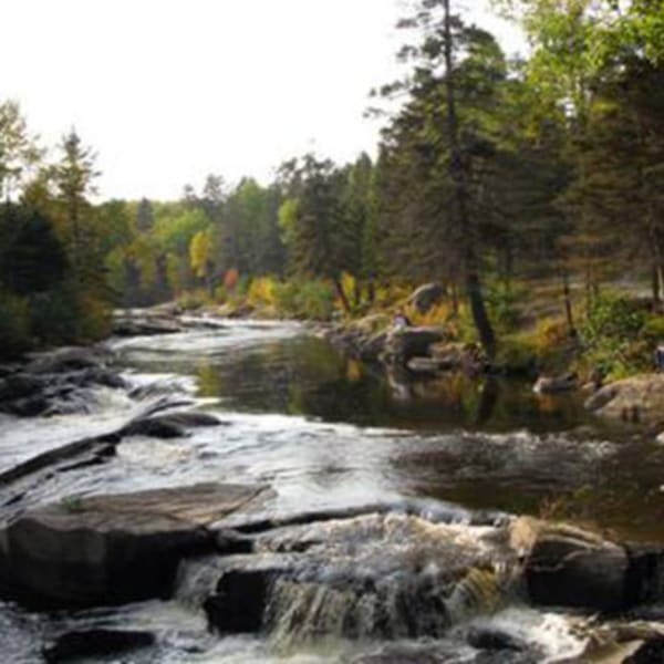 parc_de_la_riviere_du_moulin_1