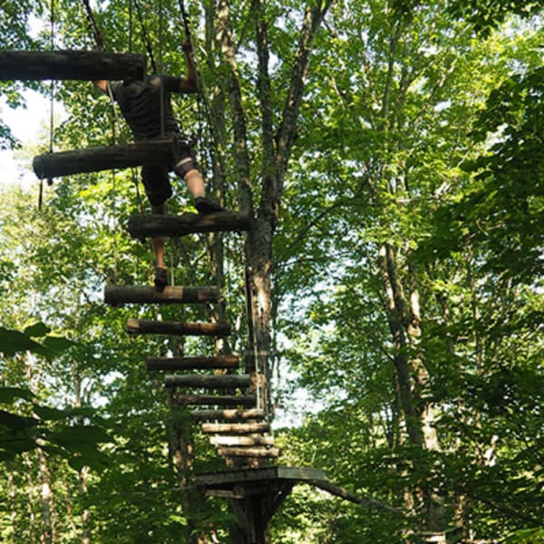 parc_de_sentiers_aeriens___foret_de_maitre_corbeau_1