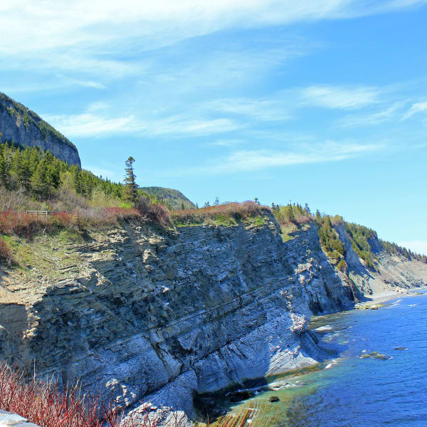 Parc national Forillon