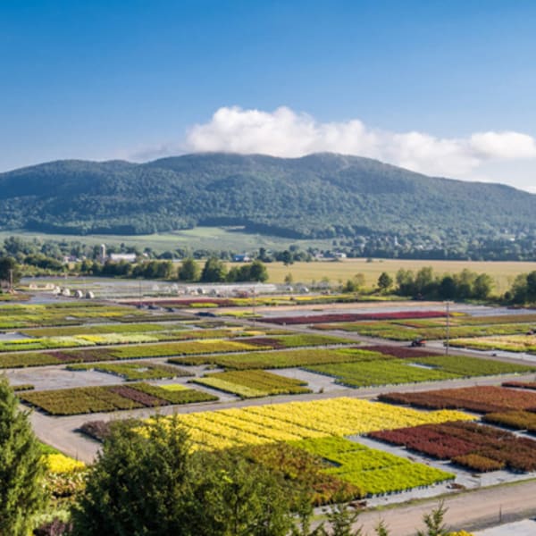 pepiniere_abbotsford_1