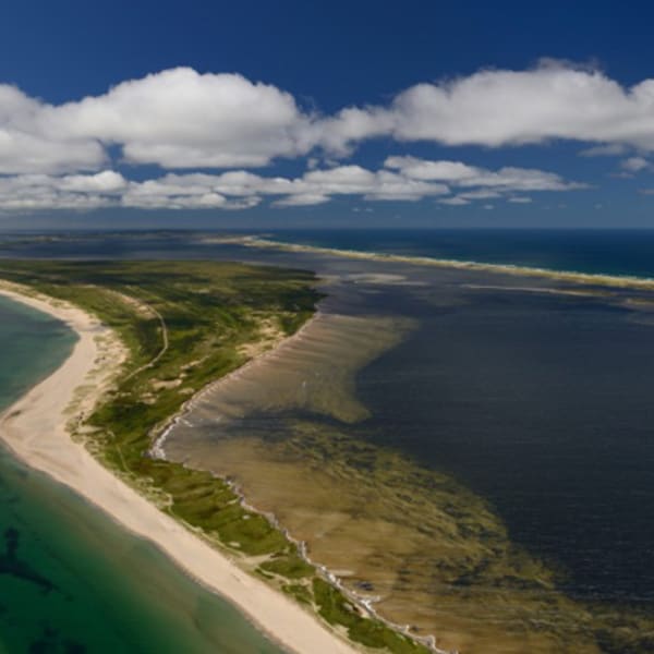plage_de_la_dune_du_sud_cormorandiere_1