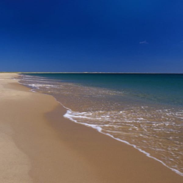 plage_de_la_grande_echouerie_1
