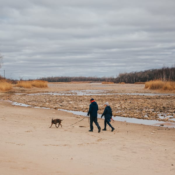 Beach at Parc régional des Îles-de-Saint-Timothée