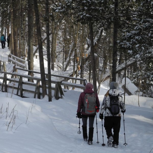 promenade_jacques_cartier_1_h