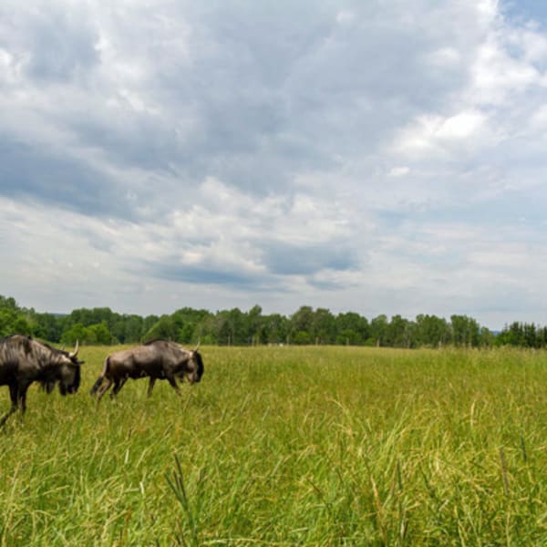 ranch_dupont_1