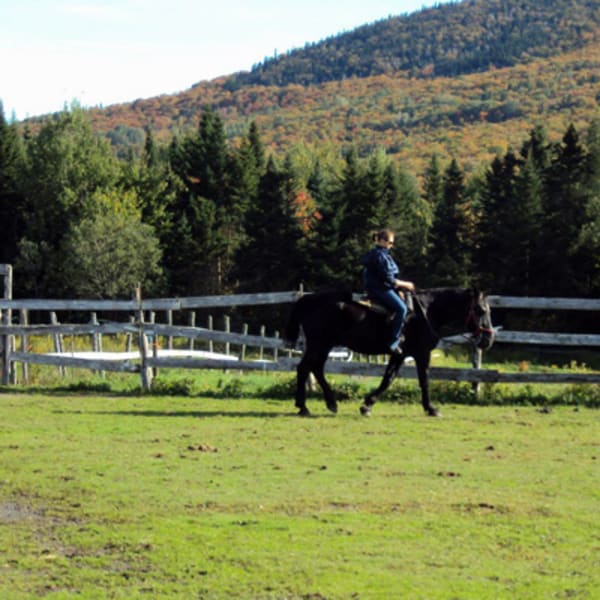 ranch_massif_du_sud_1