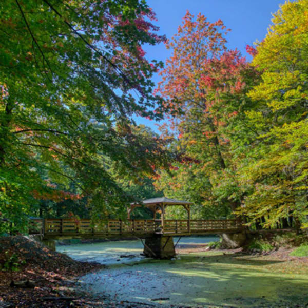 randonnees_en_plein_air_dans_le_region_de_nicolet_yamaska_1
