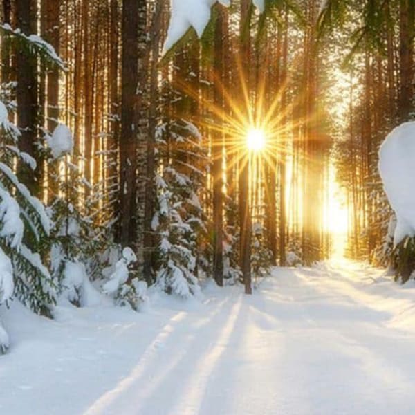 relaxation_et_nature_cet_hiver_en_petite_nation_1_h