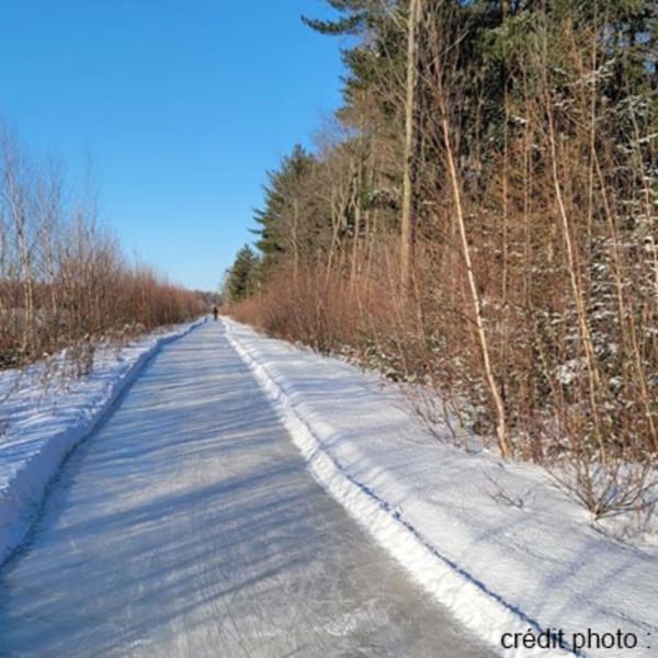 sentier_de_patinage_en_foret_de_lerable_rouge_1