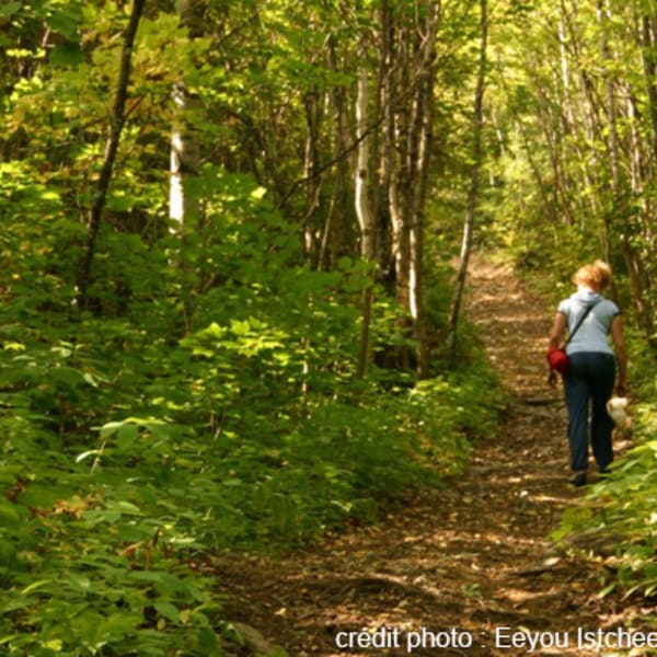 sentier_du_lac_imbeau_1