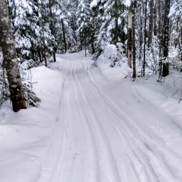 ski_de_fond_leoski_1_h