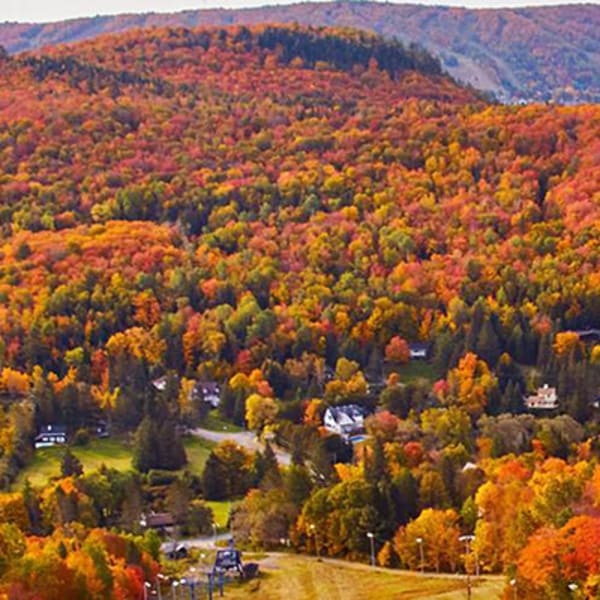 Sommet Saint-Sauveur fall foliage