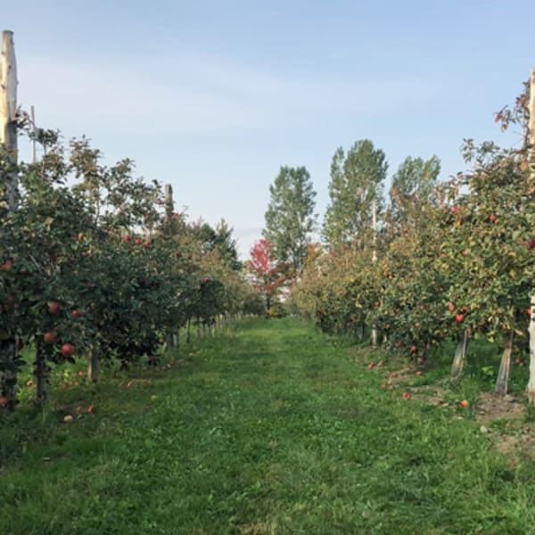 verger_duhaime_inc_1