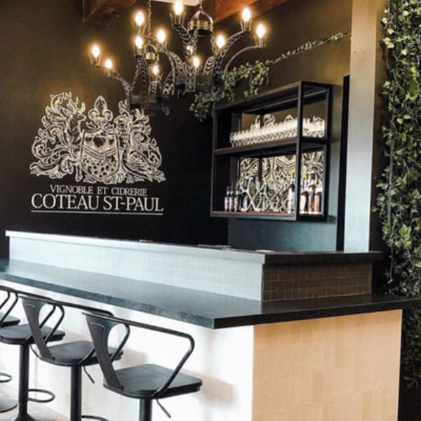 vignoble_coteau_saint_paul_1