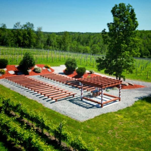vignoble_la_halte_des_pelerins_1