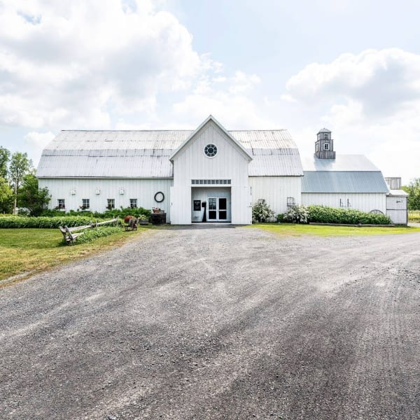 vignoble_le_mas_des_patriotes_1