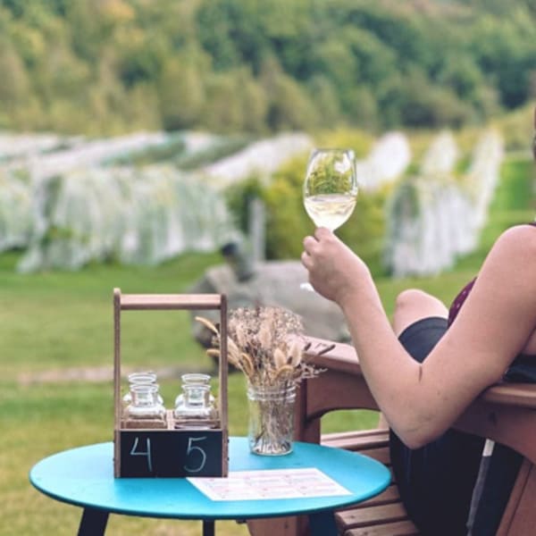 vignoble_les_cotes_du_gavet_1