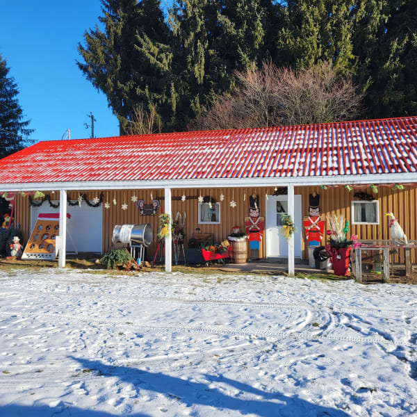 Boutique, Plantation des Noëls d'antan.