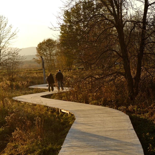 Deux personnes sur le sentier en passerelle en bois.