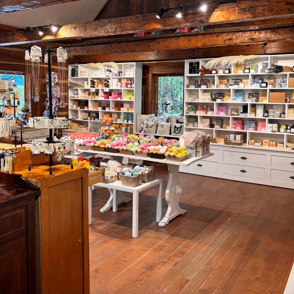 Shop of Savonnerie poussière d'étoile.