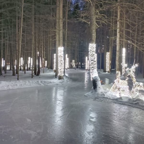 Sentier de patin en forêt de Lac-Simon.